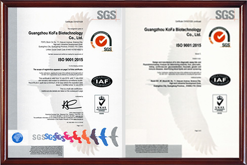 SGS ISO 9001 Certificate