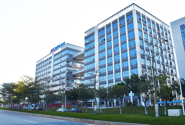 Company Profile